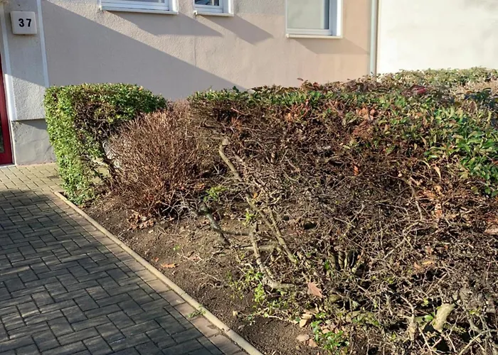 Mycha Ferienwohnung